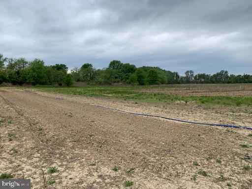 0 Cecilton Warwick Road Warwick, MD 21912 - Photo 2 of 11 a view of a field with trees in background