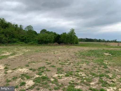 a view of a field with an ocean