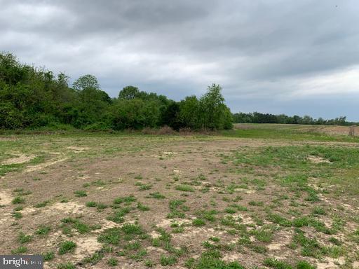 0 Cecilton Warwick Road Warwick, MD 21912 - Photo 4 of 11 a view of a field with an ocean