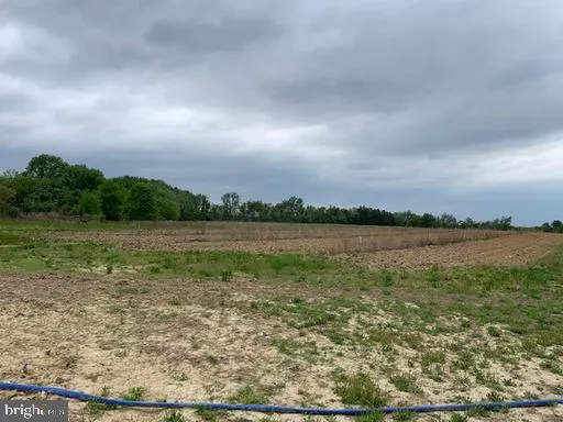 a view of a lake from a yard