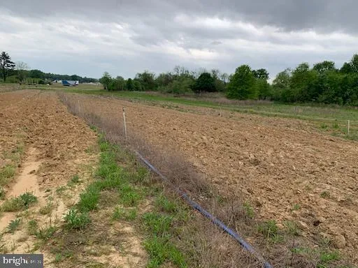 a view of a lake with houses in the back