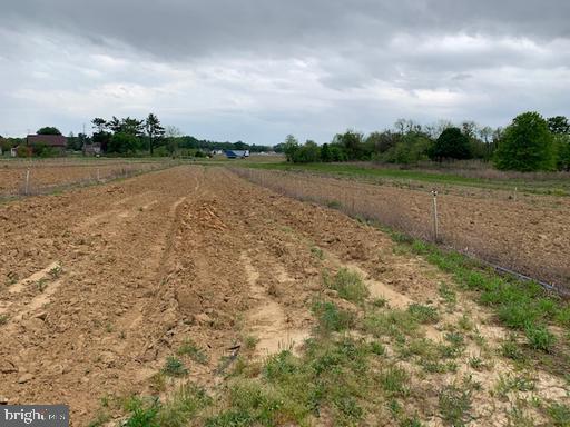 0 Cecilton Warwick Road Warwick, MD 21912 - Photo 7 of 11 a view of a lake with houses in the back