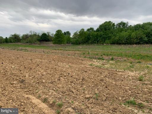 0 Cecilton Warwick Road Warwick, MD 21912 - Photo 8 of 11 a view of a lake view