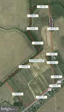 a close view of dining table