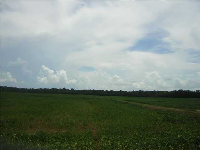 0 Cousins Road Ville Platte, LA 70586 - Photo 3 of 9 Additional Photo