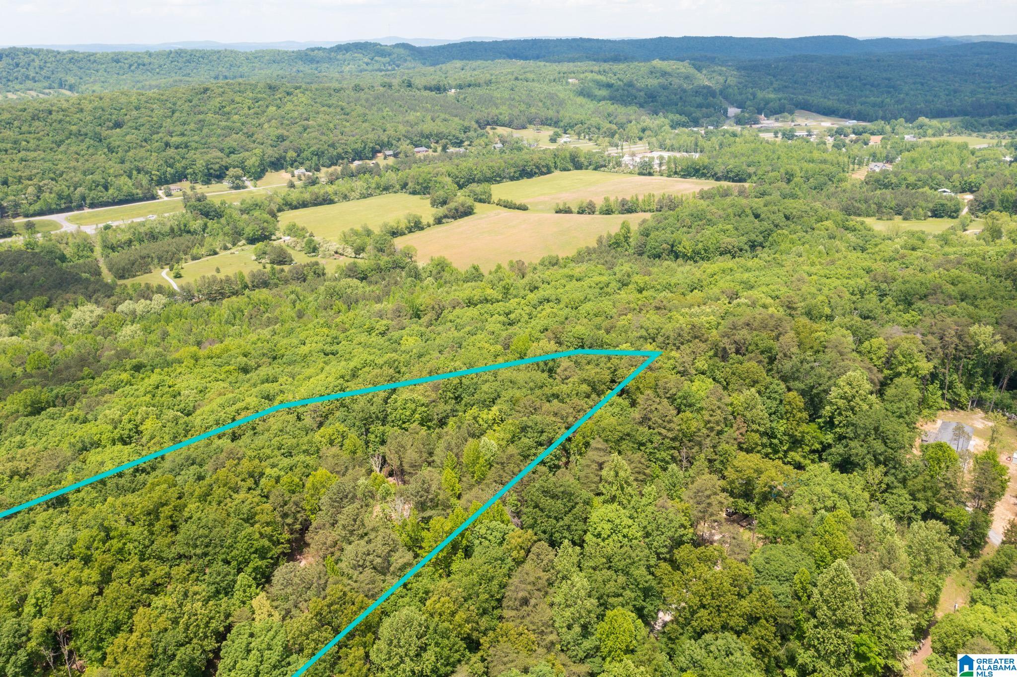 0 Beaver Creek Road Remlap, AL 35133 - Photo 4 of 8 Gallery Image 4