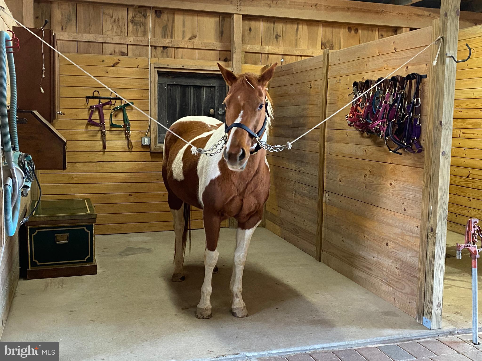 1558 Bollinger Road Westminster, MD 21157 - Photo 17 of 100 Grooming stall