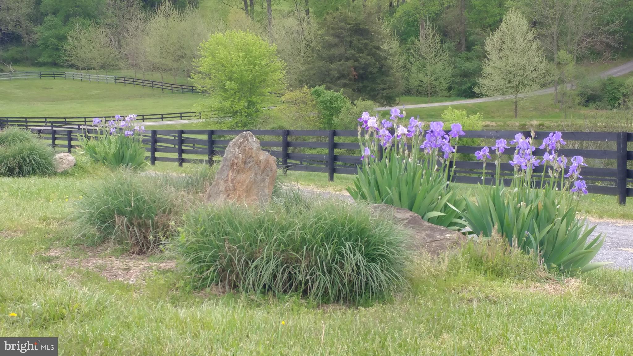 1558 Bollinger Road Westminster, MD 21157 - Photo 75 of 100 Gallery Image 75