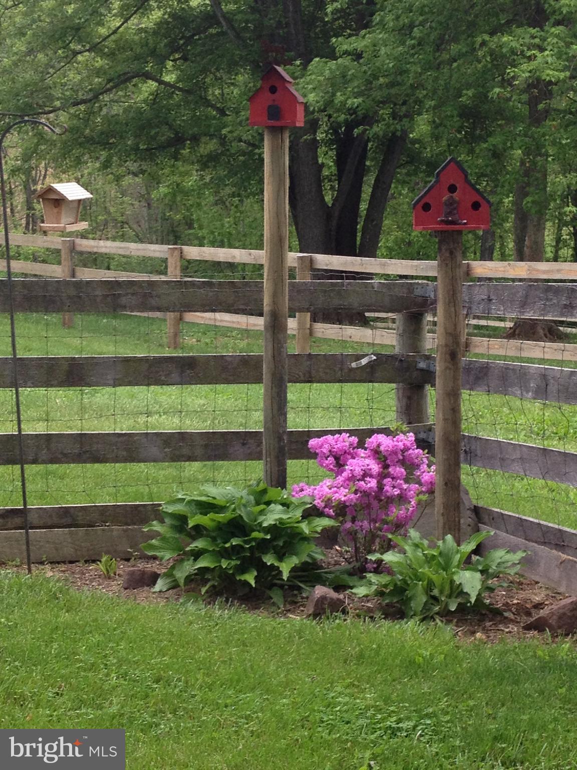 1558 Bollinger Road Westminster, MD 21157 - Photo 77 of 100 Bird paradise in backyard