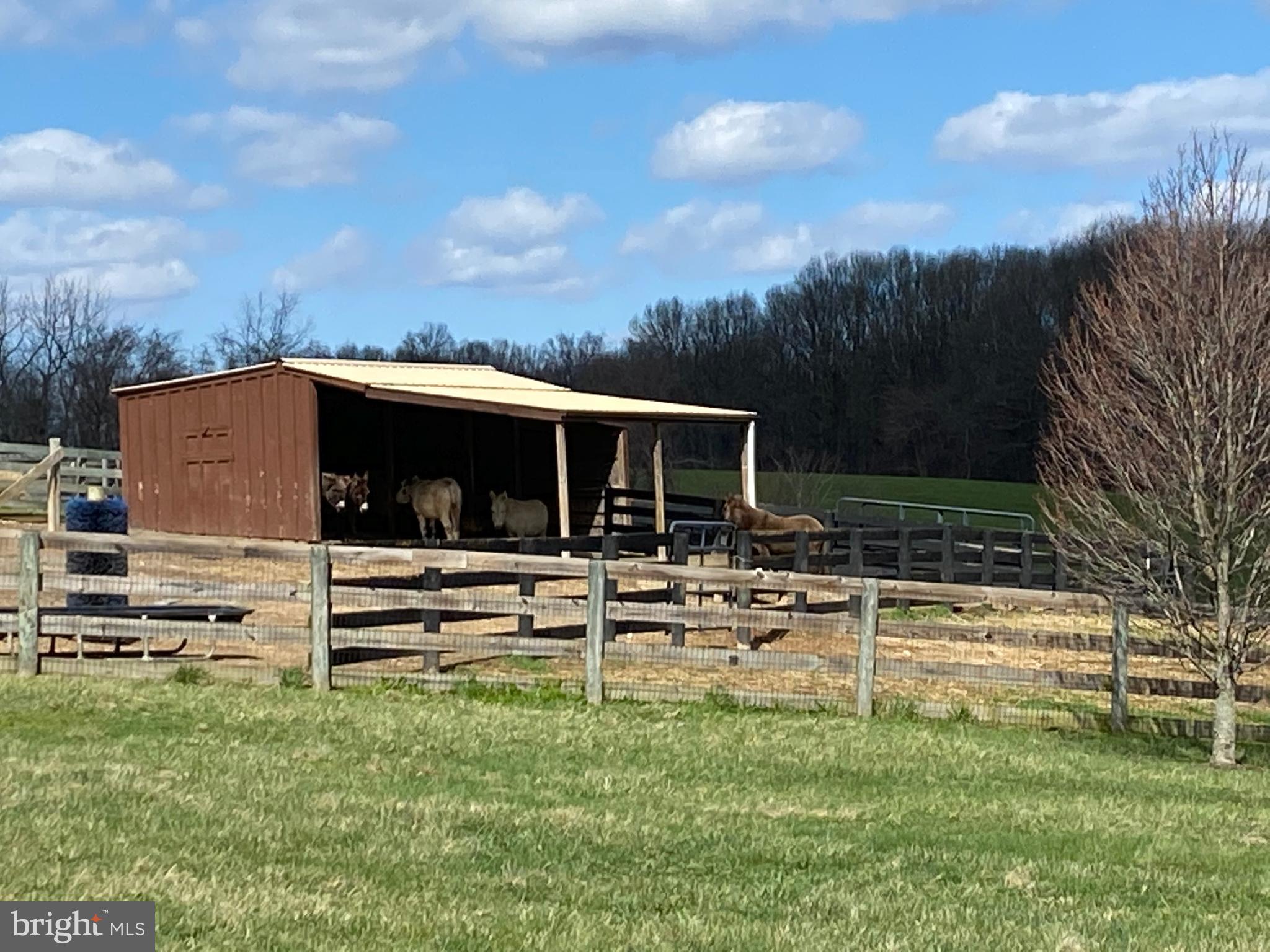 1558 Bollinger Road Westminster, MD 21157 - Photo 83 of 100 One of 5 run-in sheds