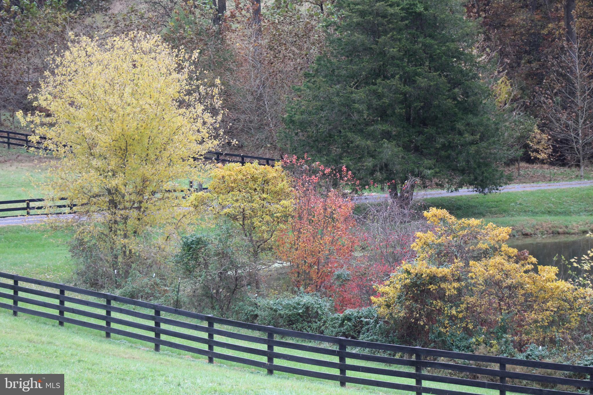 1558 Bollinger Road Westminster, MD 21157 - Photo 89 of 100 Gallery Image 89