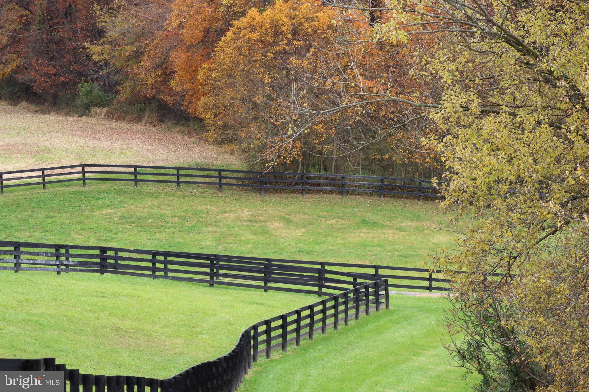 1558 Bollinger Road Westminster, MD 21157 - Photo 93 of 100 Gallery Image 93
