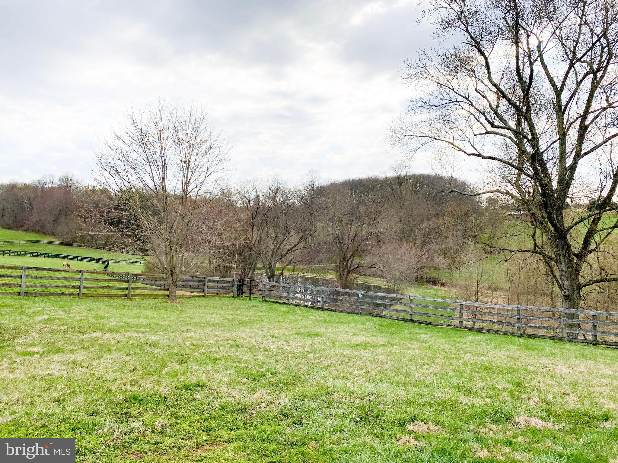 1558 Bollinger Road Westminster, MD 21157 - Photo 94 of 100 View of backyard from porch