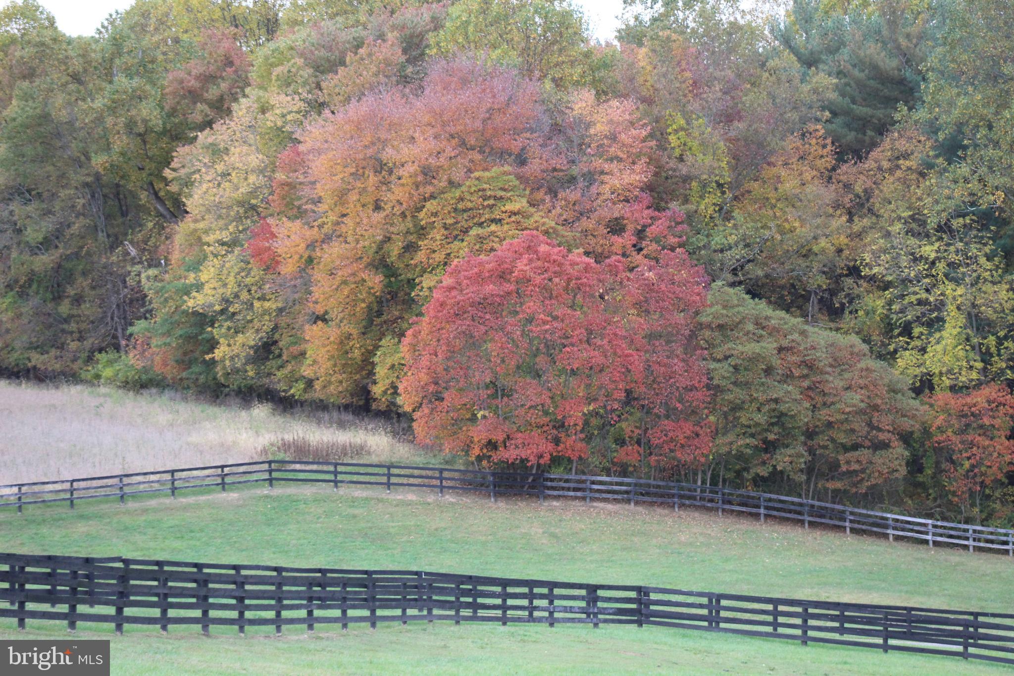 1558 Bollinger Road Westminster, MD 21157 - Photo 100 of 100 pasture