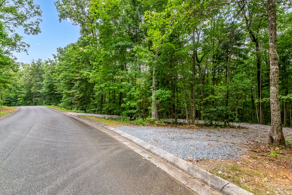 Lot 9-10 Abbott Mill Road Ellijay, GA 30540 - Photo 4 of 25 Gallery Image 4