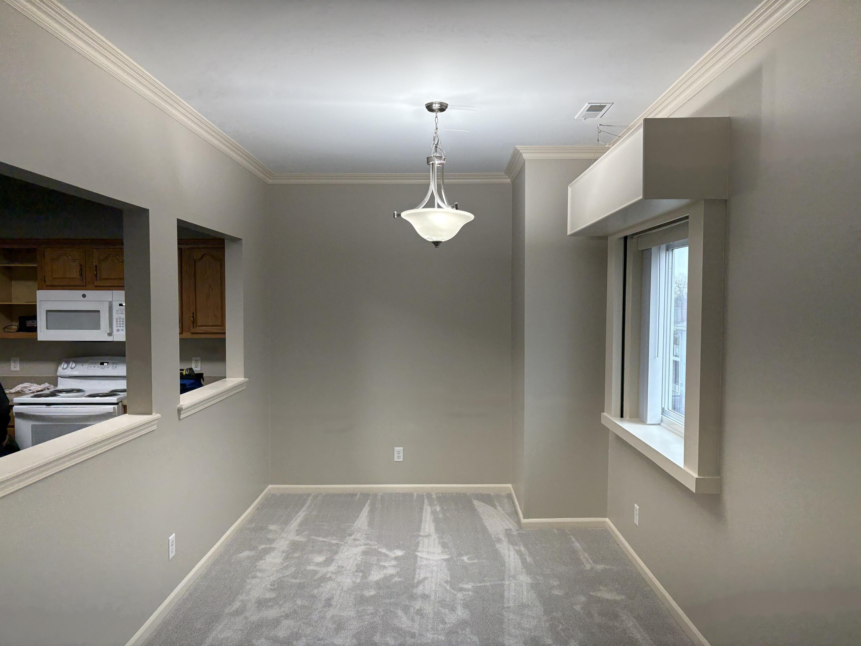 227 Main Street Belleville, MI 48111 - Photo 8 of 16 IMG_3978