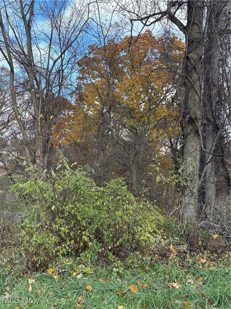 Wanda Street Weirton, WV 26062 - Photo 4 of 5 View of wooded area