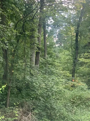 $1,168,100 | 365 Clarence Drive, St. Charles, MO 63303