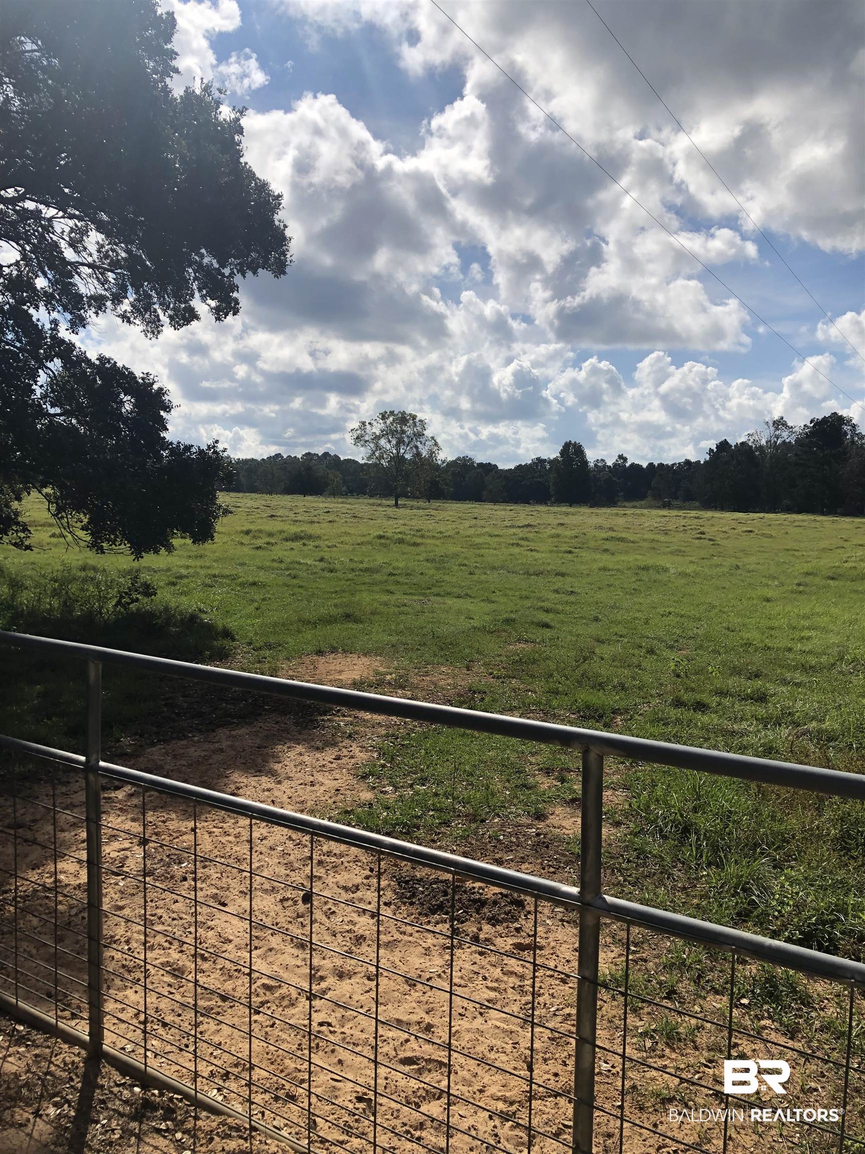 10599 Rhett McConnell Road Theodore, AL 36582 - Photo 2 of 18