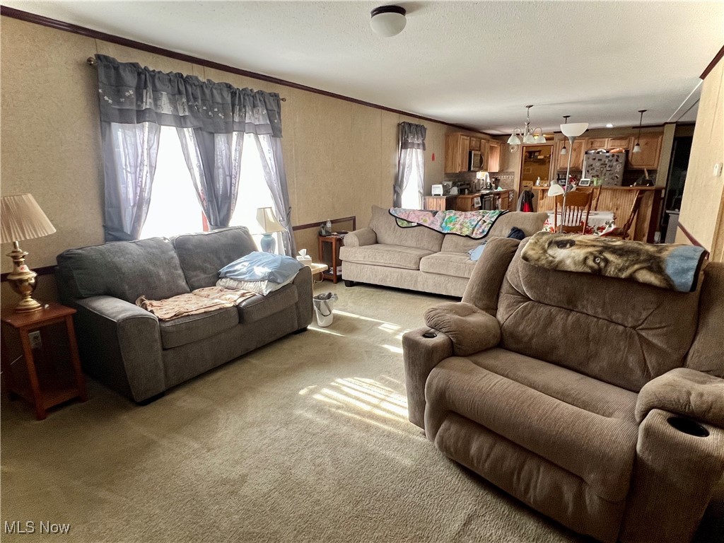 2986 Southeast Branch Road Southwest Malta, OH 43758 - Photo 30 of 41 Carpeted living room featuring ornamental molding, a chandelier, and a textured ceiling