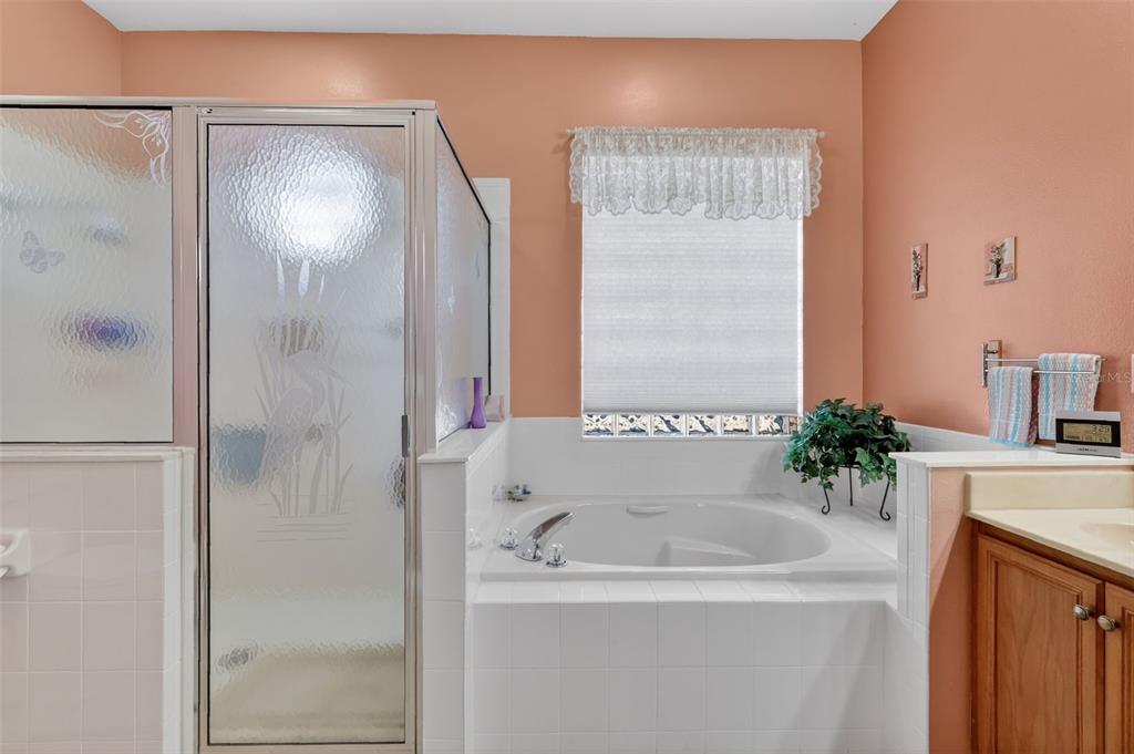 25517 Laurel Valley Road Leesburg, FL 34748 - Photo 28 of 56 a bathroom with a sink and a bathtub