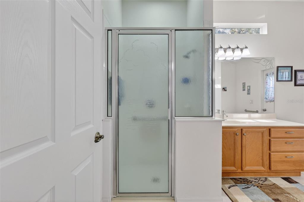 25517 Laurel Valley Road Leesburg, FL 34748 - Photo 32 of 56 a bathroom with a shower and a sink