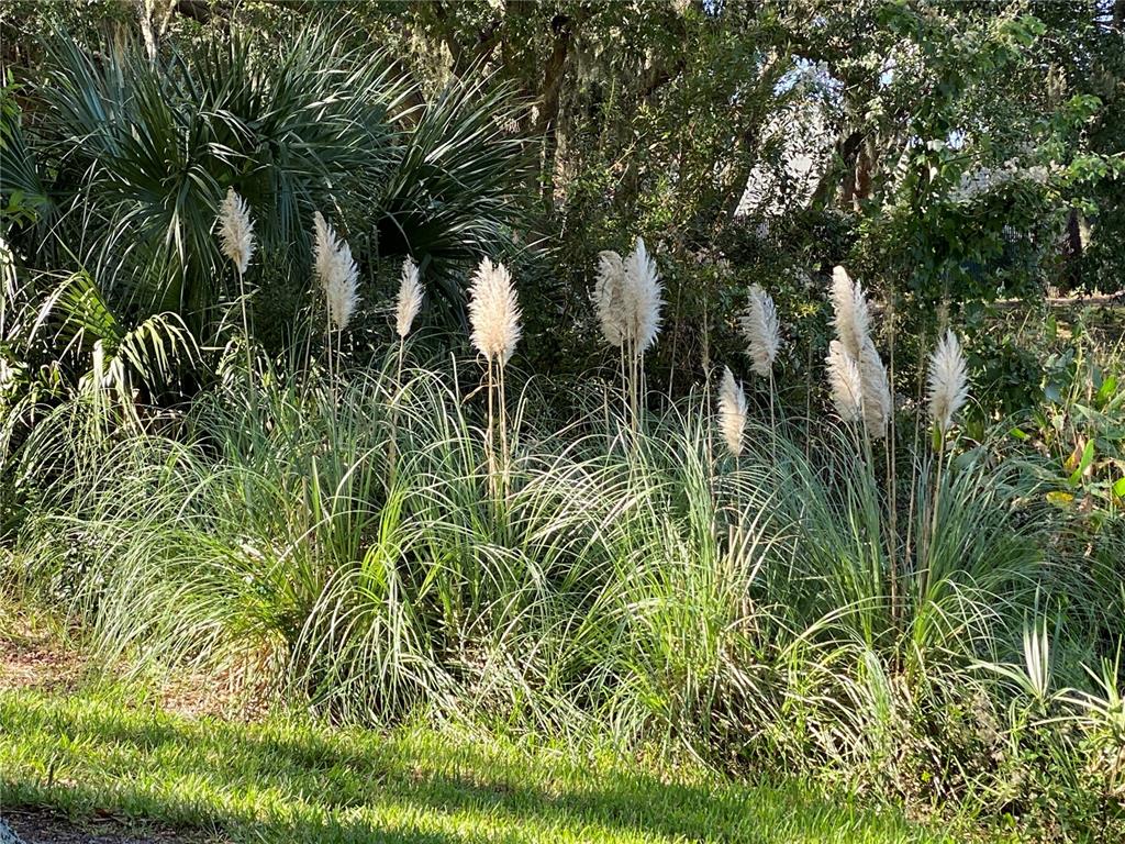 25517 Laurel Valley Road Leesburg, FL 34748 - Photo 52 of 56 a view of a garden