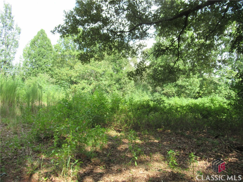 1665 Gum Springs Church Road Jefferson, GA 30549 - Photo 3 of 9 Gallery Image 3