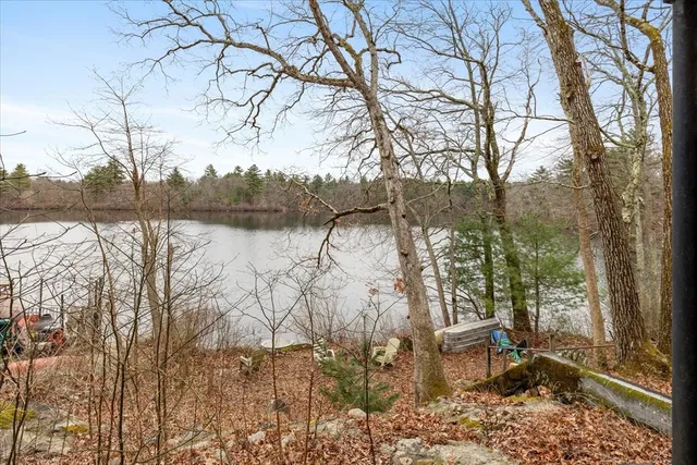 a view of a lake with a bench and trees