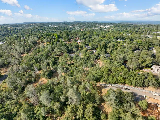 a view of a city with lush green forest