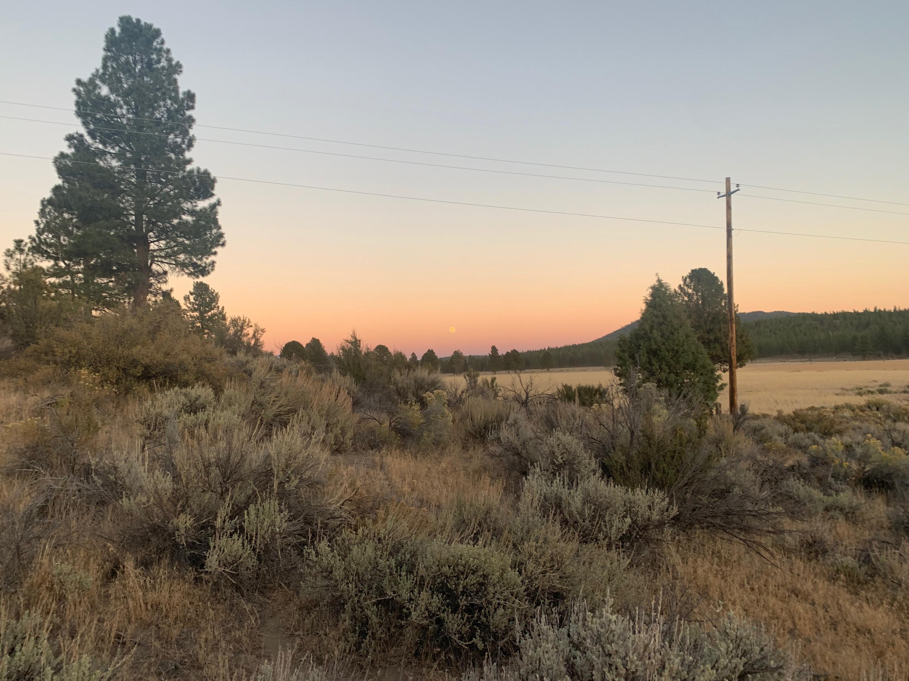 800 Godowa Springs Road Beatty, OR 97621 - Photo 5 of 11 IMG-5225