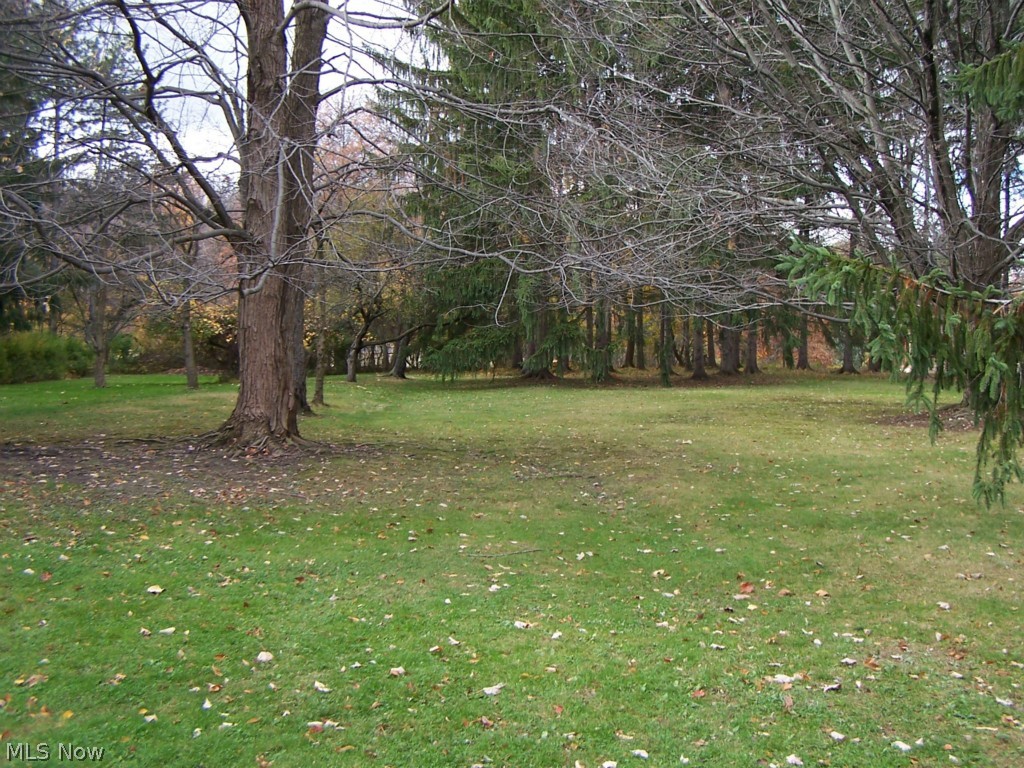 5777 Brookside Road Independence, OH 44131 - Photo 18 of 20 View 2 of gorgeous yard!