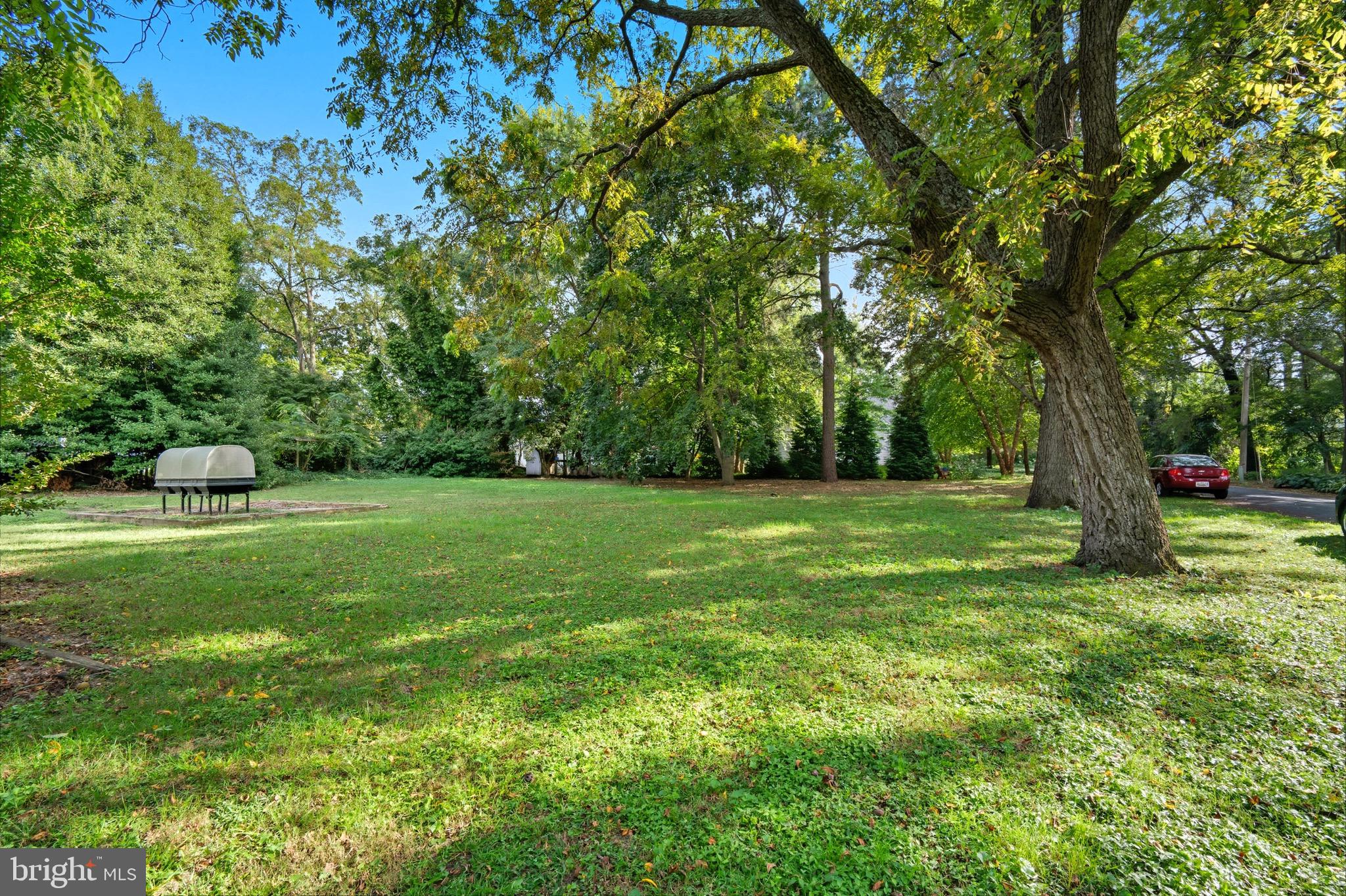 221 Old Bridge Road Chestertown, MD 21620 - Photo 23 of 29 Large level back yard
