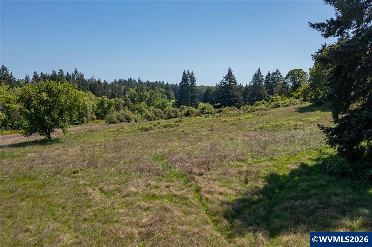 201560 Orchard Tract Road Monroe, OR 97456 - Photo 18 of 23