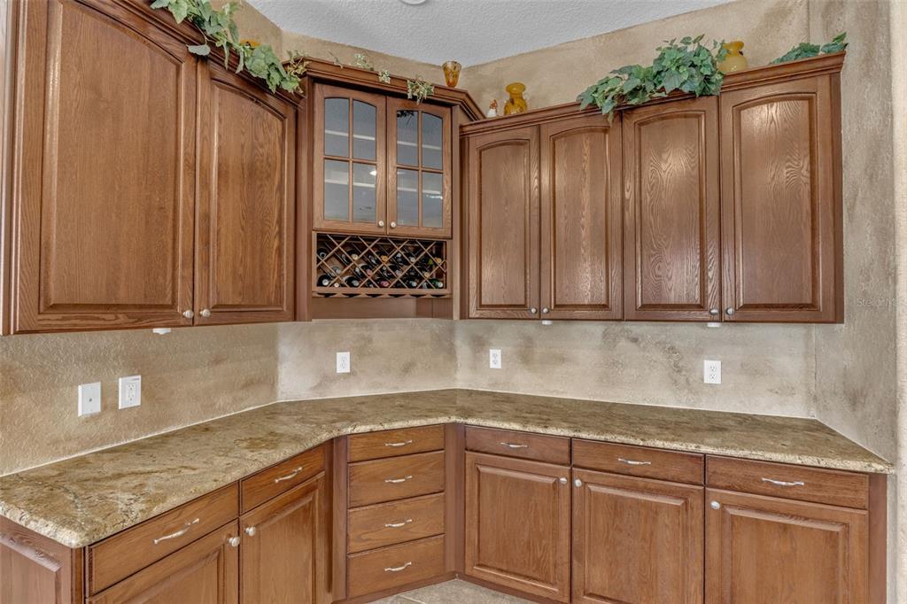 13101 Shadow Run Boulevard Riverview, FL 33569 - Photo 32 of 86