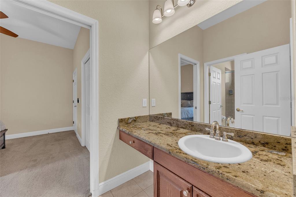 13101 Shadow Run Boulevard Riverview, FL 33569 - Photo 55 of 86 a bathroom with a granite countertop sink and a mirror