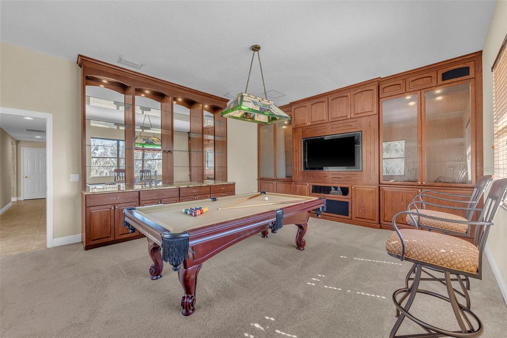13101 Shadow Run Boulevard Riverview, FL 33569 - Photo 63 of 86 a living room with furniture a flat screen tv and a large window