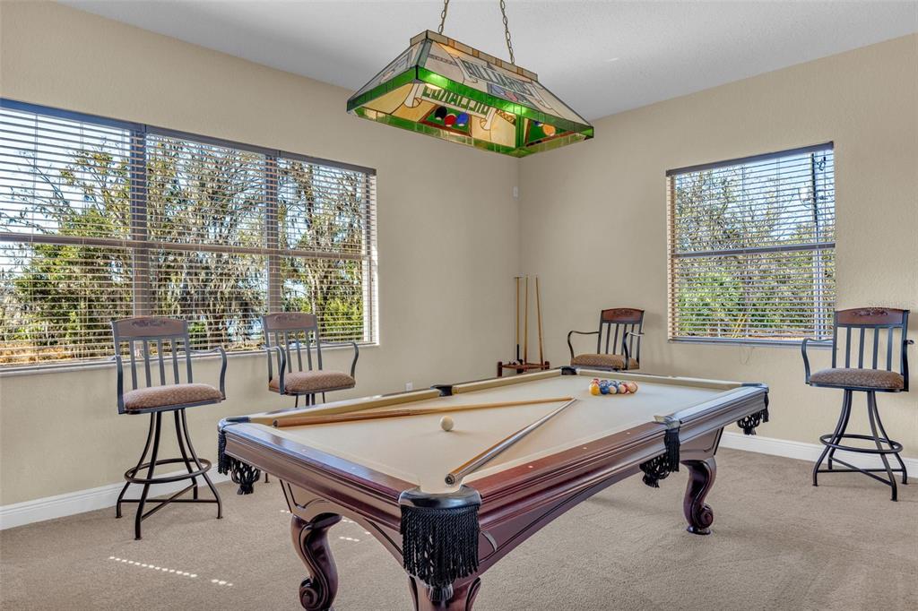 13101 Shadow Run Boulevard Riverview, FL 33569 - Photo 65 of 86