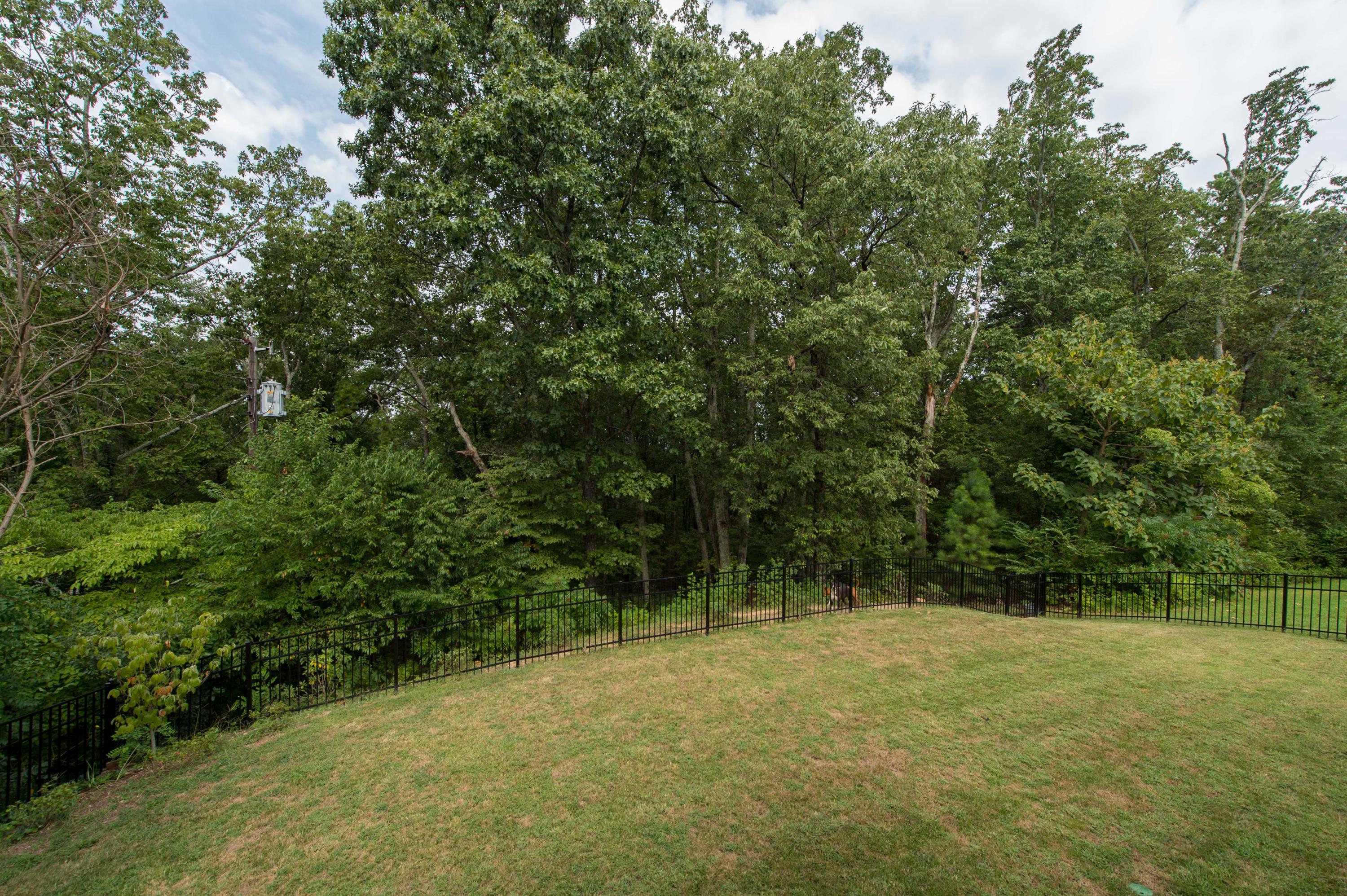 4003 Brock Road Chattanooga, TN 37421 - Photo 23 of 27 _MG12411