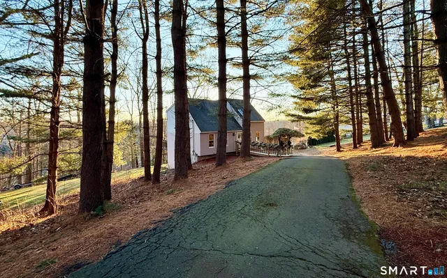 a view of a park with large trees
