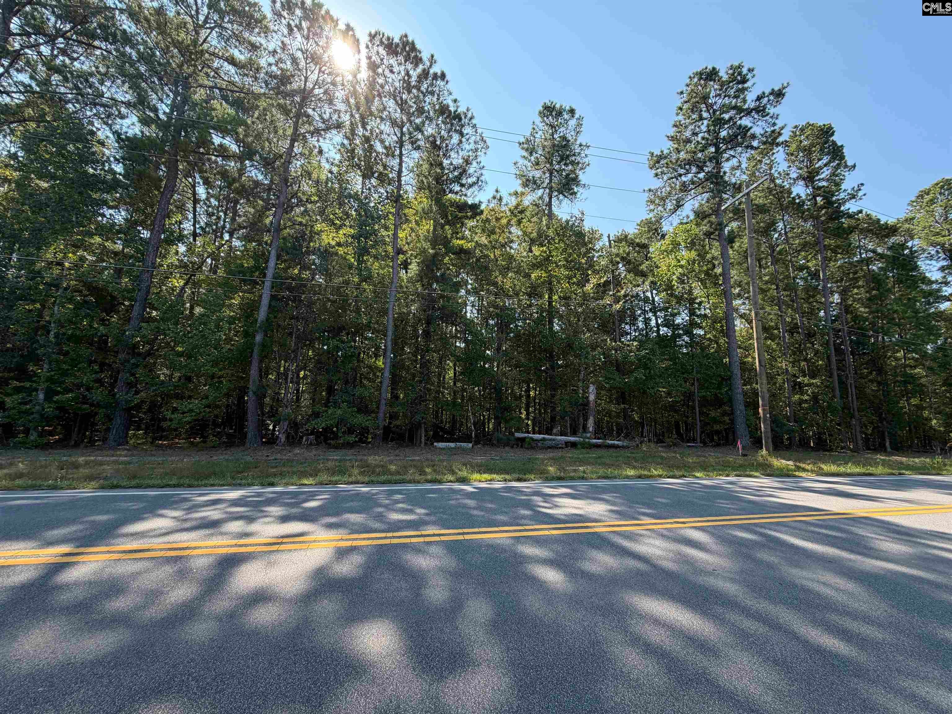 379 Murray Lindler Road Chapin, SC 29036 - Photo 1 of 5 Gallery Image 1