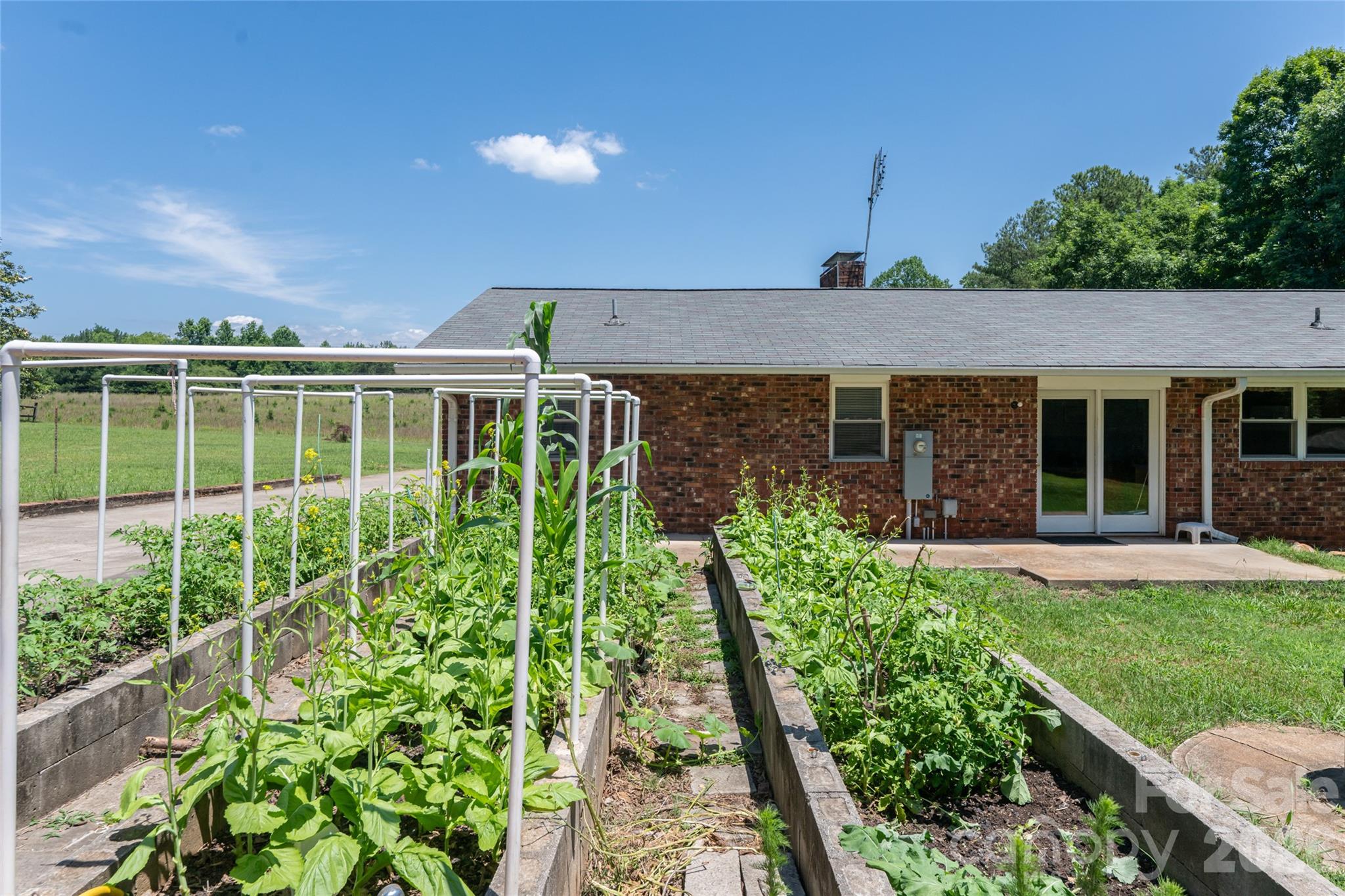 2800 Coxe Road Tryon, NC 28782 - Photo 20 of 40 a front view of a house with a yard