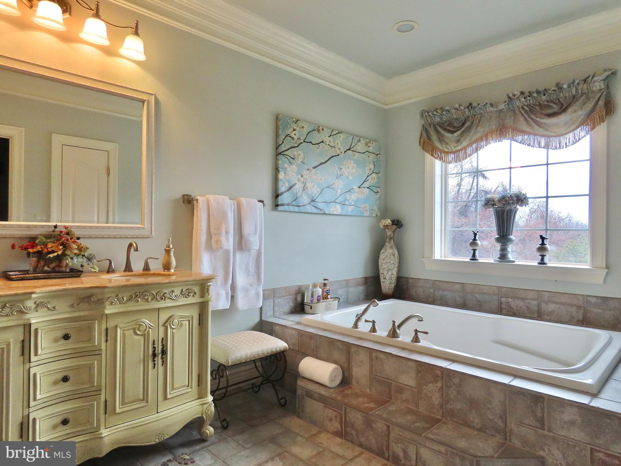 65 Clark Lane Washington, VA 22747 - Photo 34 of 62 a bathroom with a tub sink and mirror