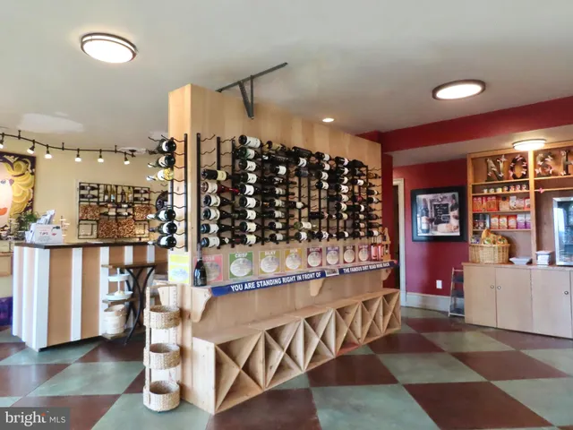 $2,800,000 | 65 Clark Lane, Washington, VA 22747