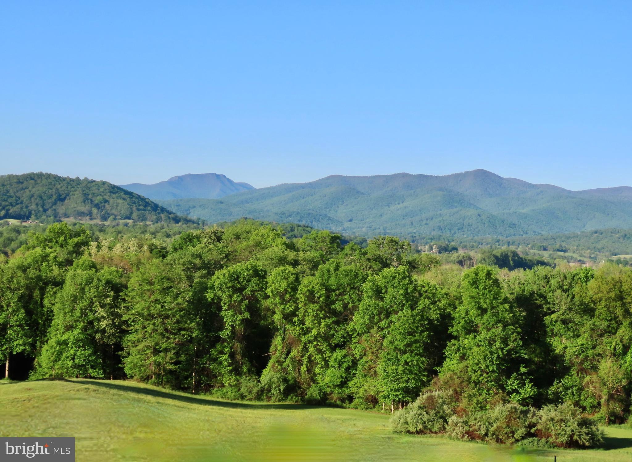 65 Clark Lane Washington, VA 22747 - Photo 50 of 62 a view of a lush green forest with trees in the background