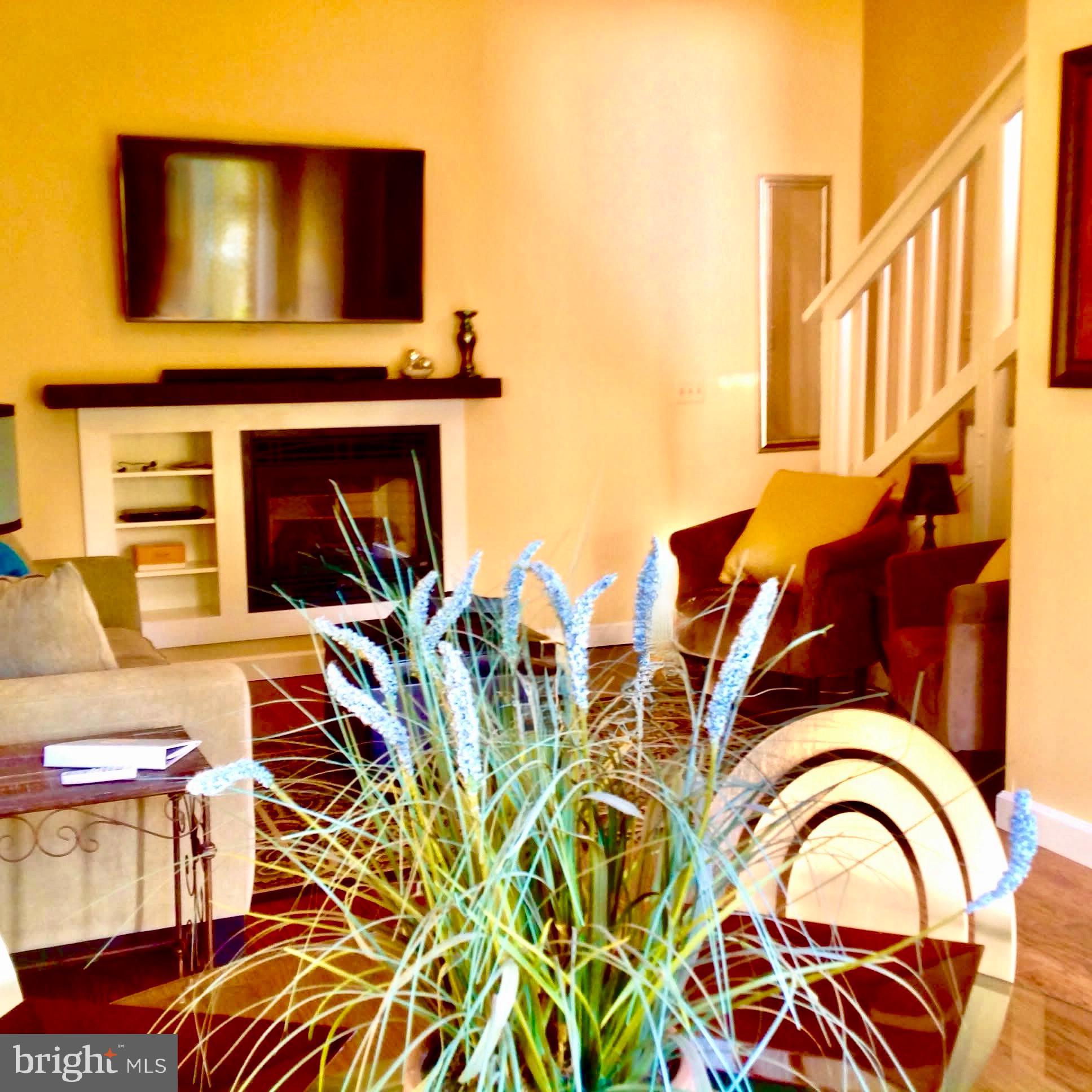 65 Clark Lane Washington, VA 22747 - Photo 56 of 62 a living room with furniture and a fireplace