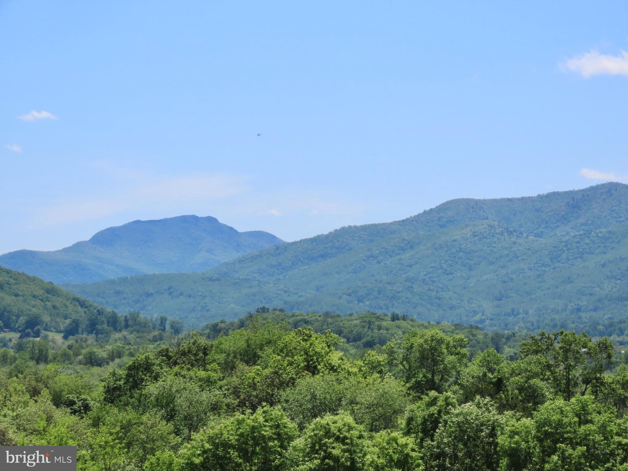 65 Clark Lane Washington, VA 22747 - Photo 61 of 62 a view of a mountain range with lush green forest