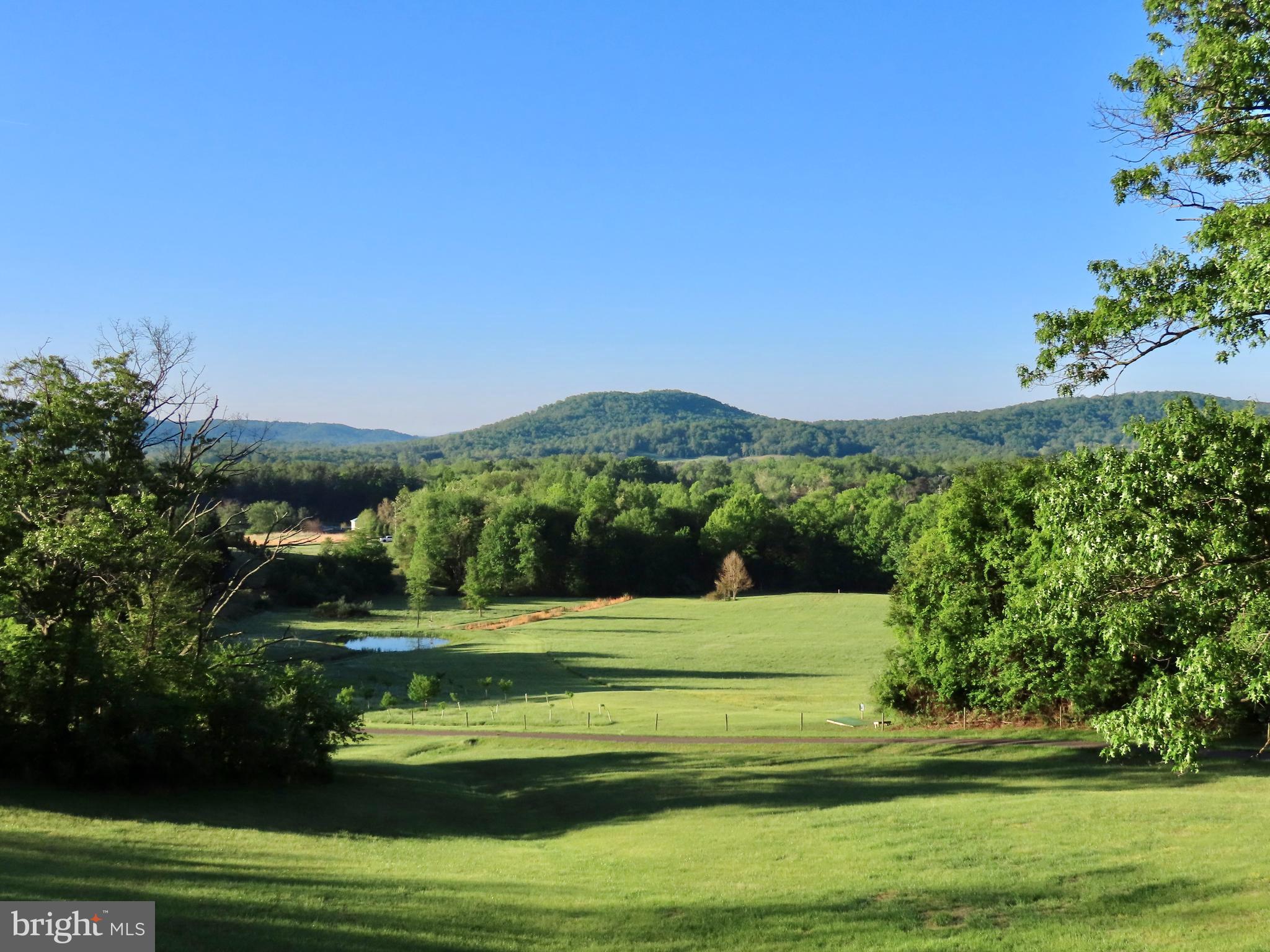 65 Clark Lane Washington, VA 22747 - Photo 8 of 62 a view of a golf course with a lake