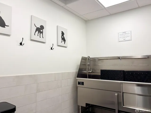 a close up of a wall