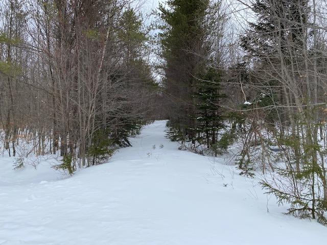 4 A Rum Ridge Road Greenville, ME 04441 - Photo 2 of 15 IMG_1846